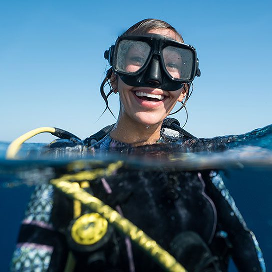 Swimmers and Divers, Watch Those Teeth! -